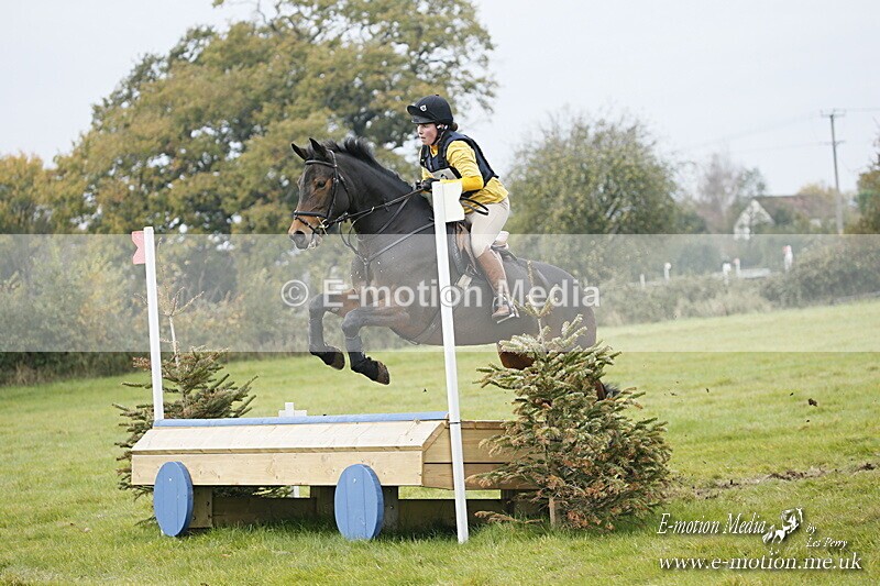 WWHT 181020 WWHT 181020 623 - WWEC Open Novice (0.80m) 18/10/20