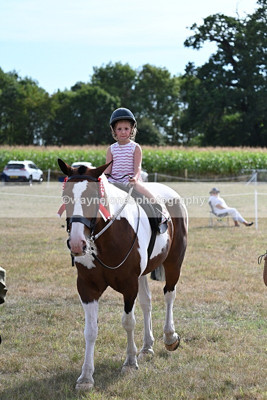 WJ7_7962 - George ...