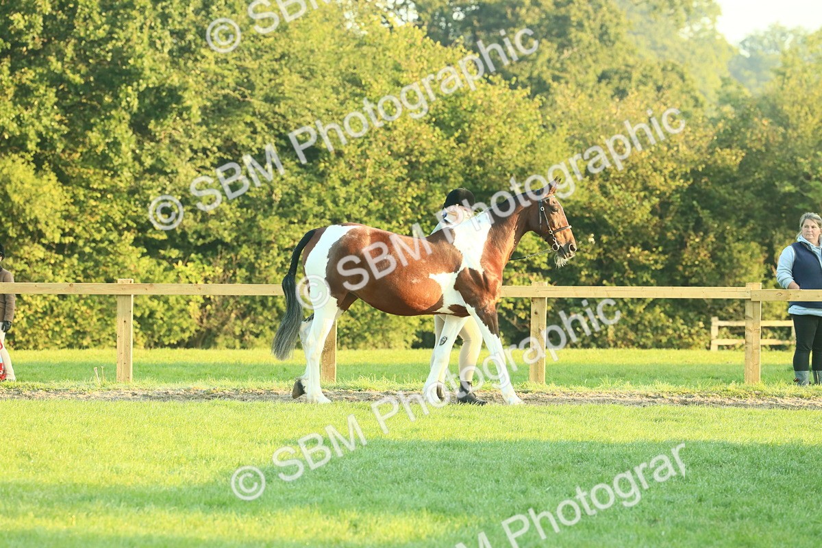 SBM_56503 - S36 - Starters Best Turnout