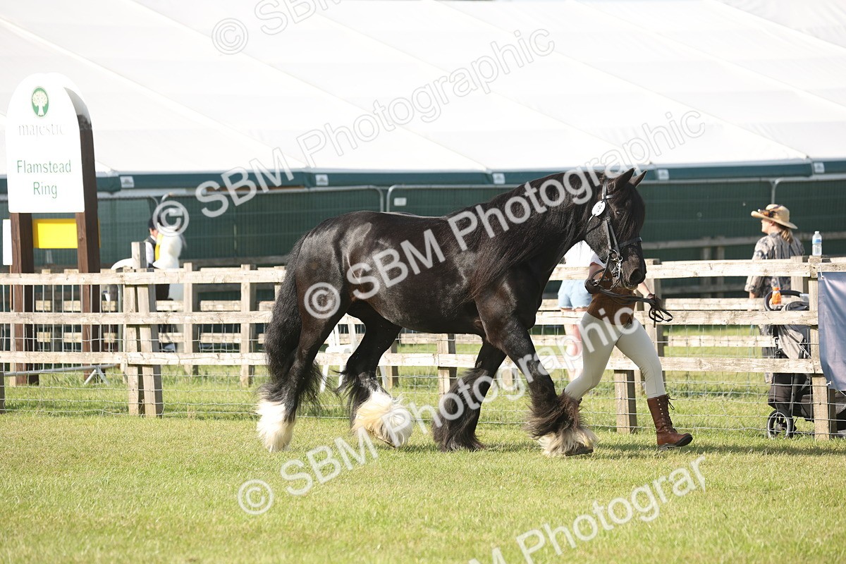 SBM_10330 - Class 33-38 - SSADL RIHS Qualifiers