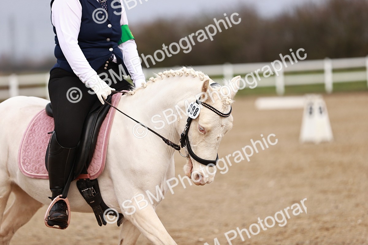 SBM_002228 - Intro 3