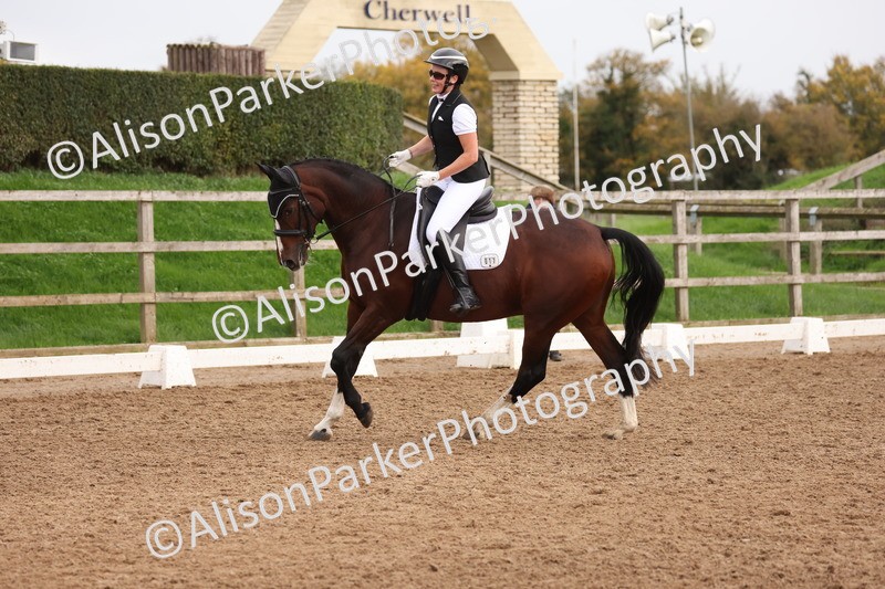 20251021-0663 - Class 8 - Elementary 2