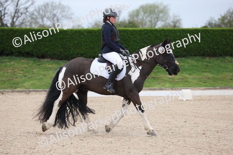 20260404-0208 - Class 2 - Intro 4