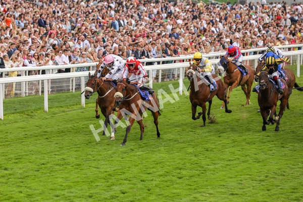 270724-Race 1-Night On Earth-4604 - Race 1 2.05pm Sky Bet 'Jump Jockeys' Nunthorpe' Handicap