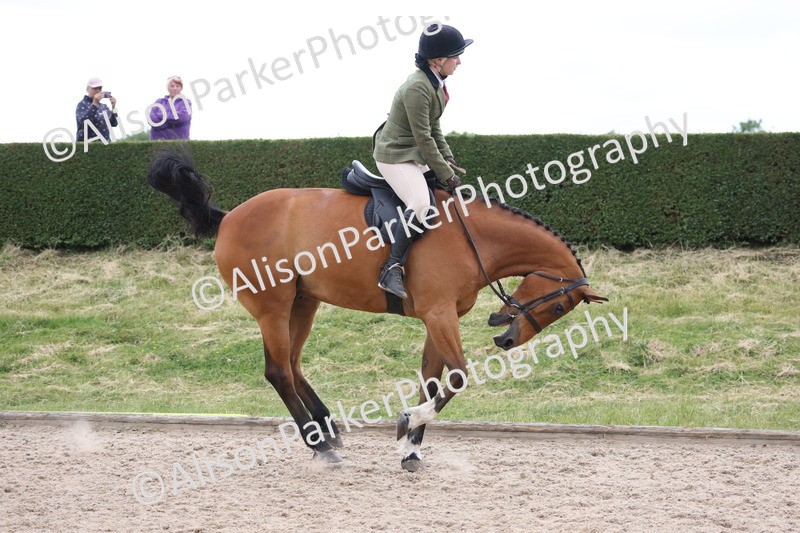 20250524-1381 - Class 16 - Hunter and Cob