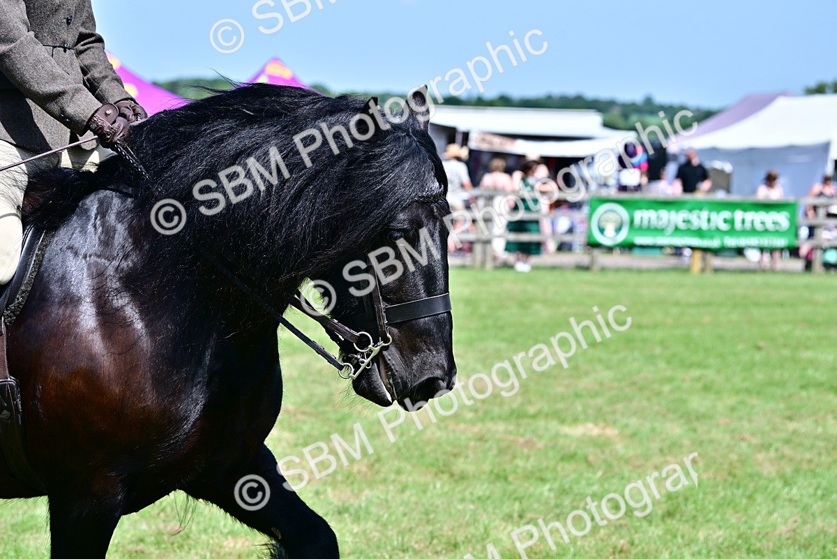 SBM_07912 - Class 61-62 - TSR  M&M Ridden Amateur of the Year