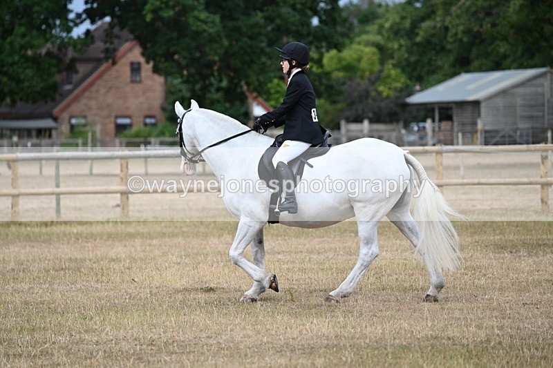 WJ6_7382 - Class 9 Tack and Turnout
