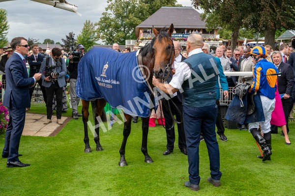 210824-Race 2-The Lion In Winter-4934 - Race 2 2.25pm Tattersalls Acomb Stakes