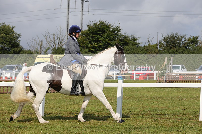 1X9A3495 - Skewbald and Piebald Ridden Championship