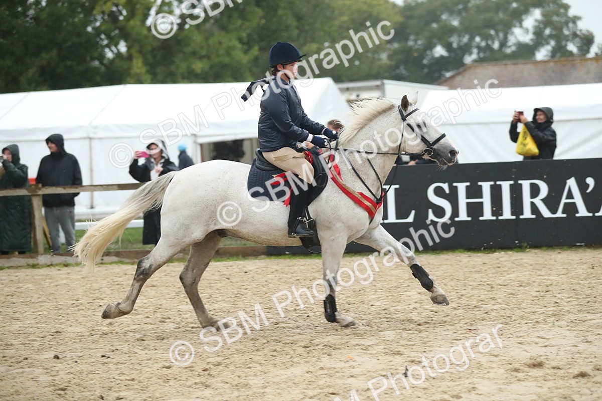 SBM_74345 - Supreme championship Junior Pony 70cm 75cm