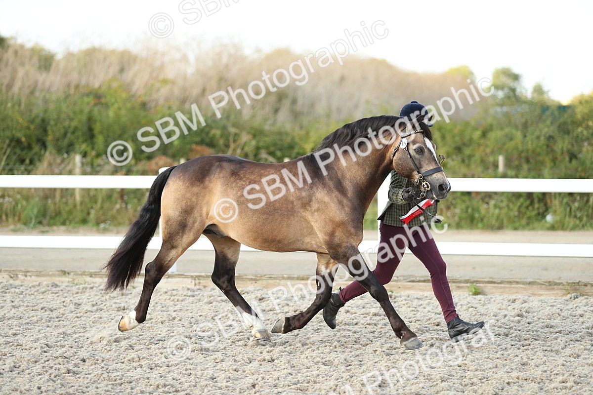SBM_09119 - Class 29 IH Veteran Pony