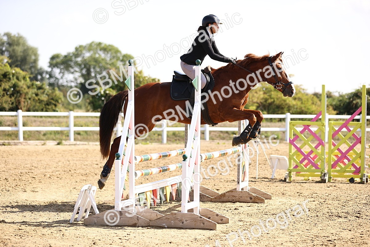 SBM_005757 - Class 9 - Senior British Novice - 90cm