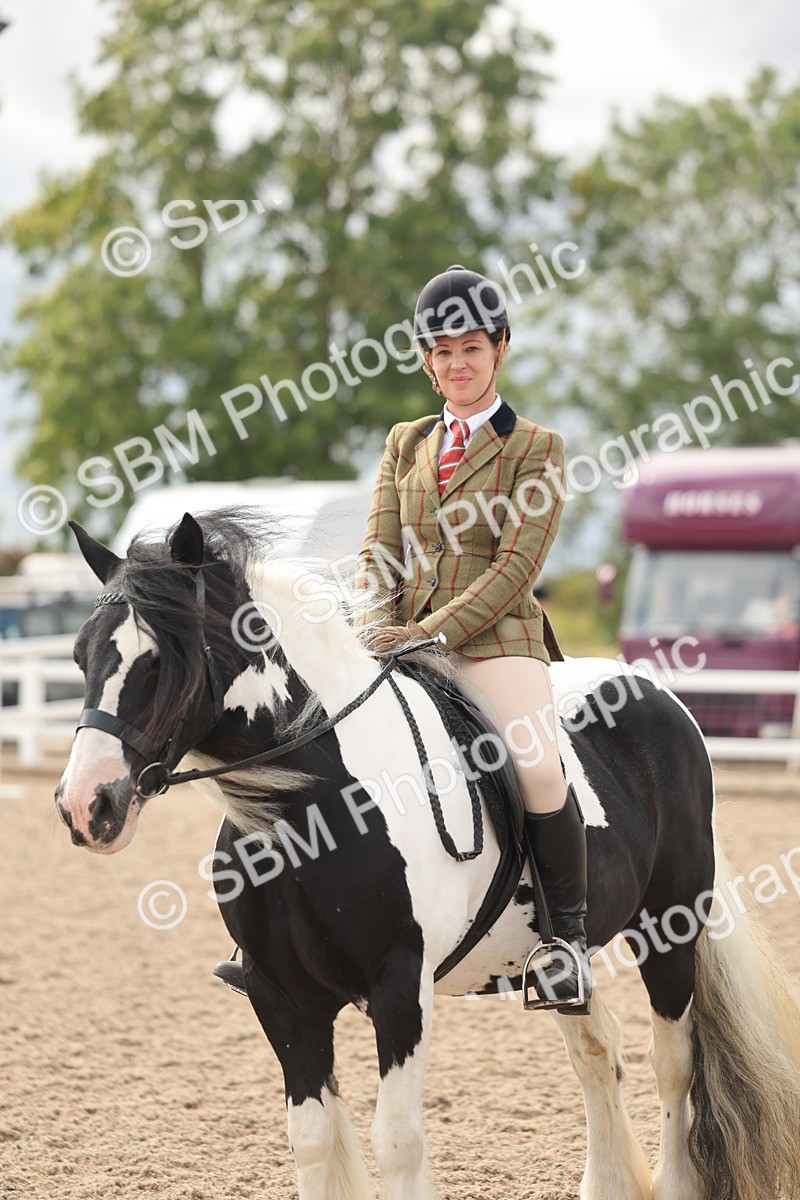 SBM_18034 - Class 314 - Family Horse Pony