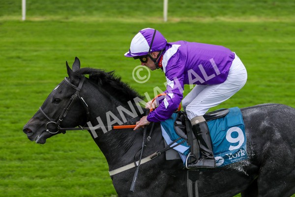 131023-Race 1-Pilgrim-9726 - Race 1 2.05pm William Hill EBF Novice Stakes