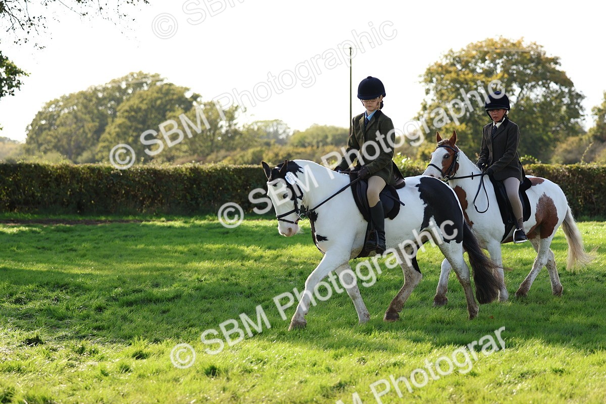 SBM_52435 - S13 - Pony Club Pony