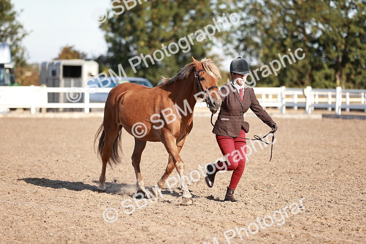 SBM_11402 - Class 402 - IH  Veteran pony