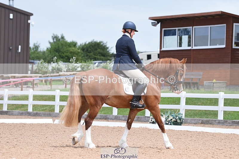 230702A-130848-10306 - Cls 1, 3+4 Intro A, Prelim 12+18