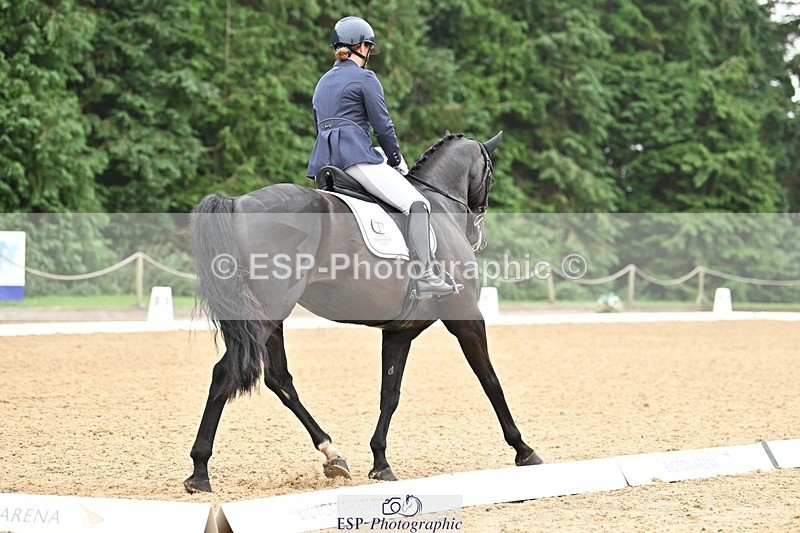 240811-115840-05314 - 118-Katie.Kneen-Springtime.Evergreen