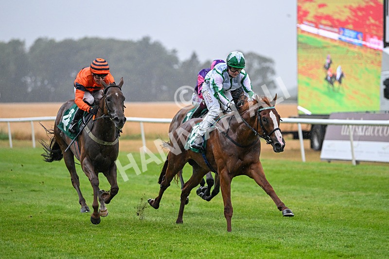 150725-Race 3-The Kamikaze King-6751 - Race 3