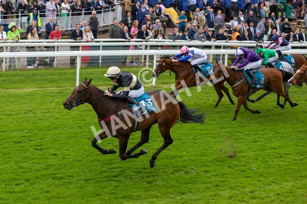 140624-Race 3-Alfa Kellenic-5611 - Race 3 3.00pm British EBF Supporting Racing With Pride Fillies' Handicap