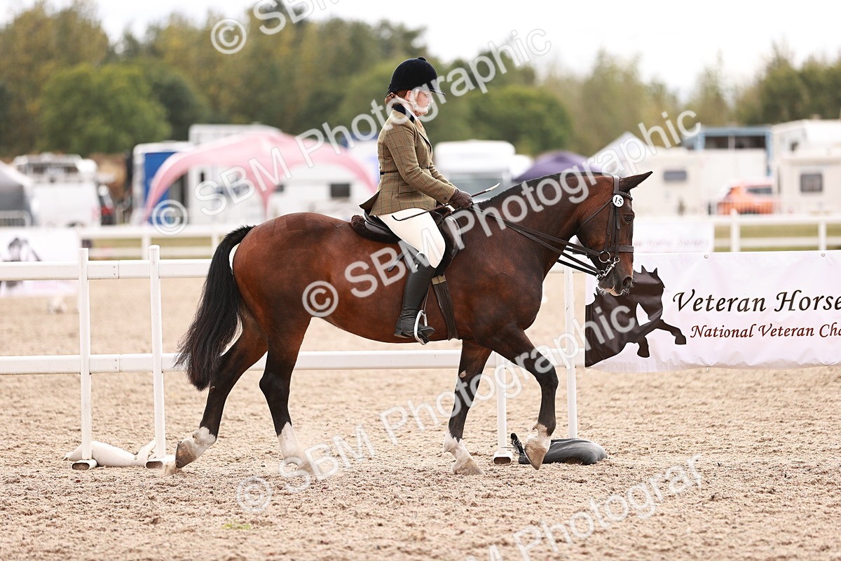 SBM_18249 - Class 416 - Prettiest Mare (IH or Ridden)Jnr