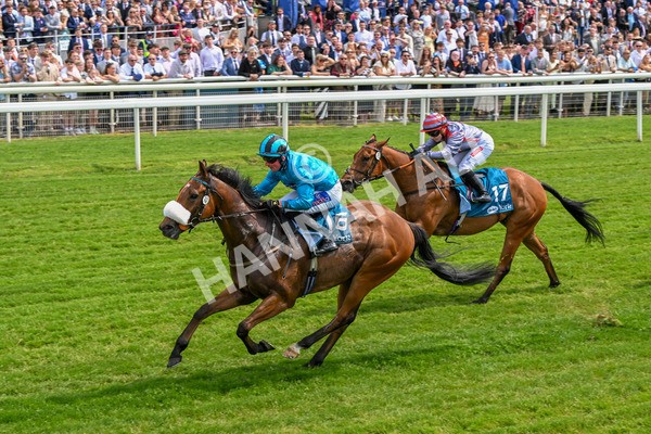 310525-Race 1-Ingleby Archie-8589 - Race 1 1.30pm William Hill Keep Your Raceday Positive Handicap