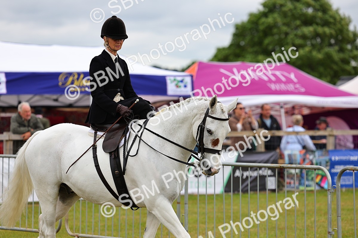 SBM_02860 - Class 9-11 Side Saddle including LIHS Rising Star Ladies Show Horse