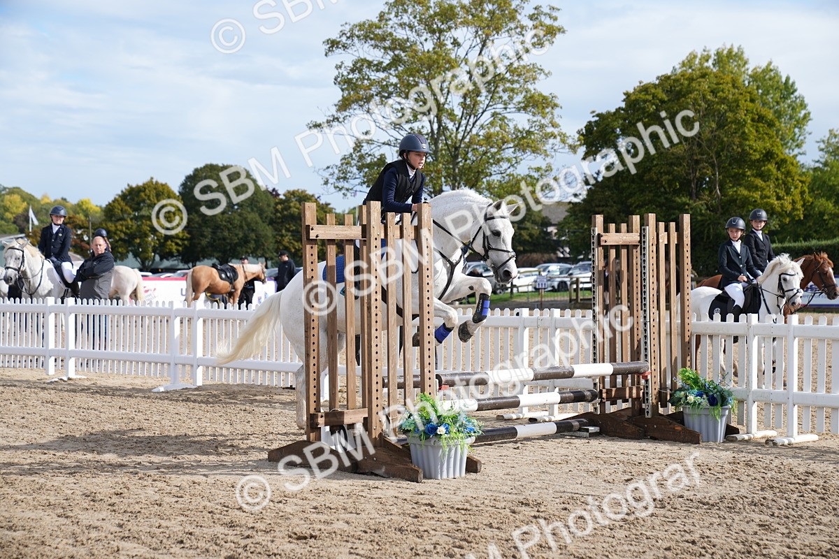SBM_02398_J55 Clear Round 60cm - Paula Gray