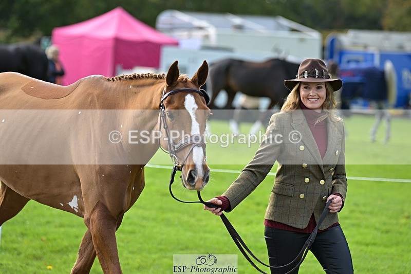 241023-131703-00176 - 010-Julia.Norman-SCOTCH.ON.THE.ROCK'Z