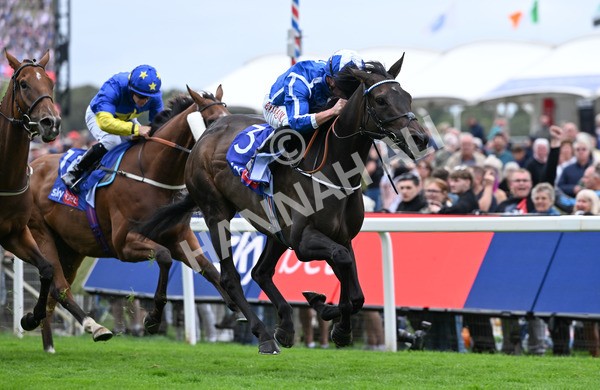 200825-222 Santorini Star - Race 5 4.10pm Sky Bet Stayers Handicap