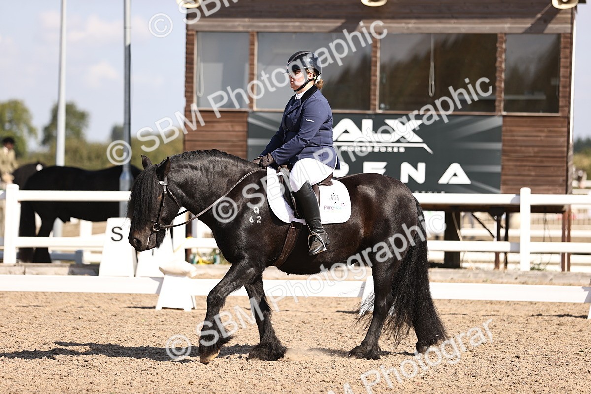 SBM_03536 - CLass 35 Intro 3