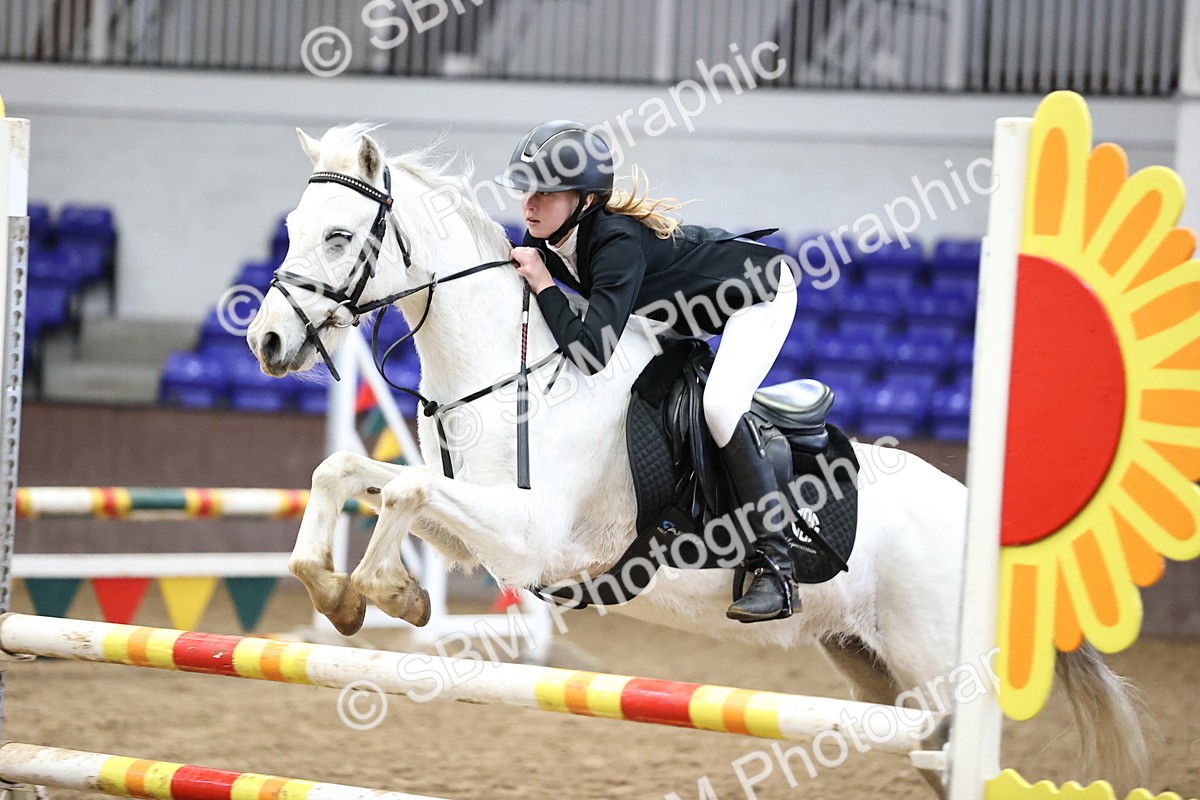 SBM_001517 - Class 9 - Pony British Novice 80cm