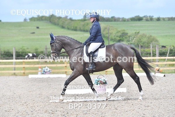BPP_0377 - NOVICE 6