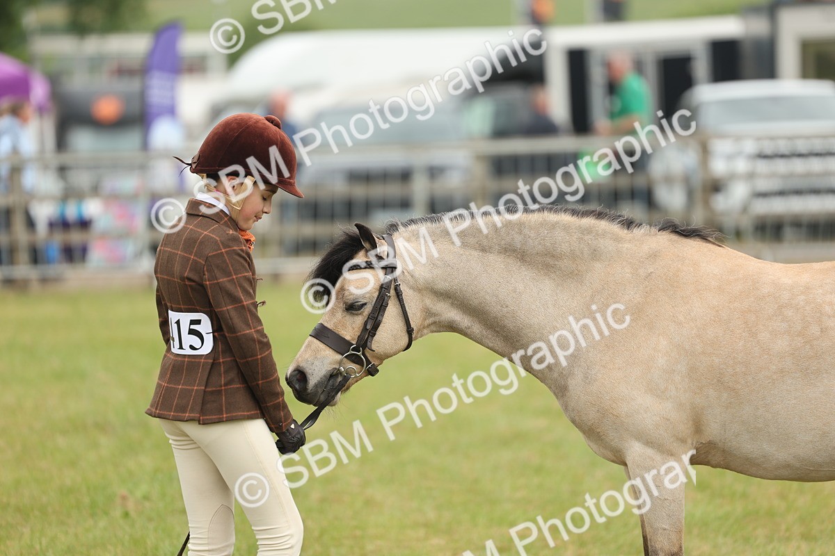 SBM_07116 - Class 76-77 - Ridden M&M Welsh Ponies