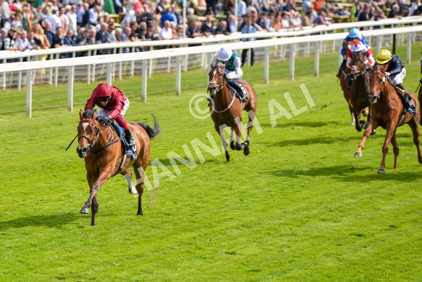 170523-Race 4-Soul Sister-8749 - Race 4 3.35pm Tattersalls Musidora Stakes