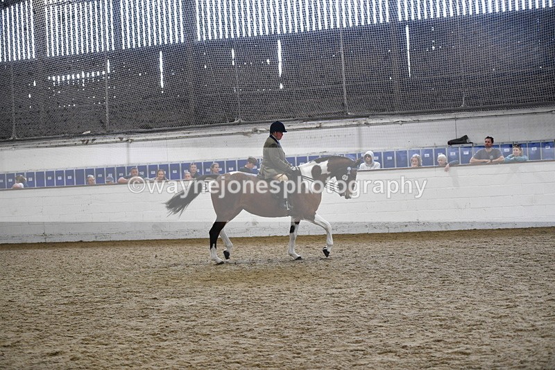 WJ5_6046 - Class 9 Ridden Veteran