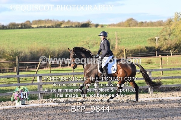 BPP_9844 - SHORT ARENA