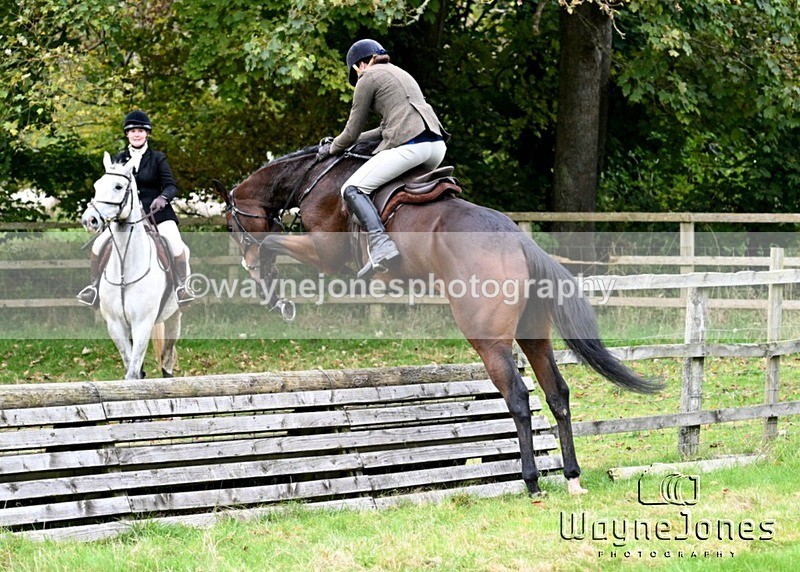 WJ7_4758 - Edited examples