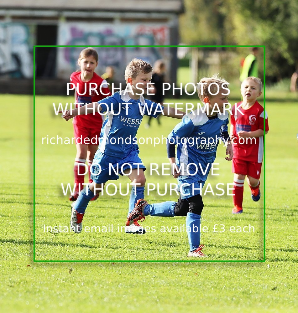 IMG_0473 - Ibis Under 7 vs Wattsfield Under 7 (28/9/24)