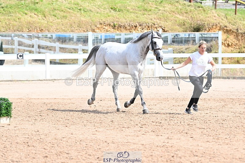 240717A-153116-02862 - Trot Up 3pm to 4pm