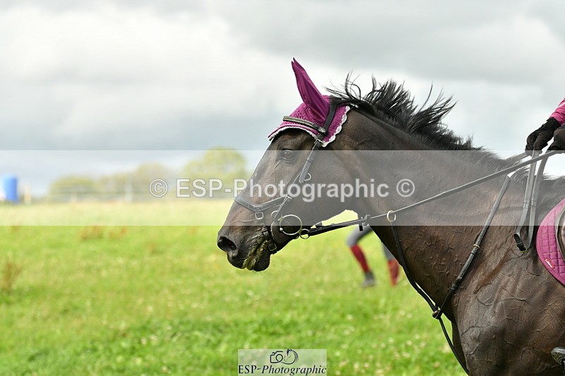 230801A-150233-00131 - Gemma's Ride