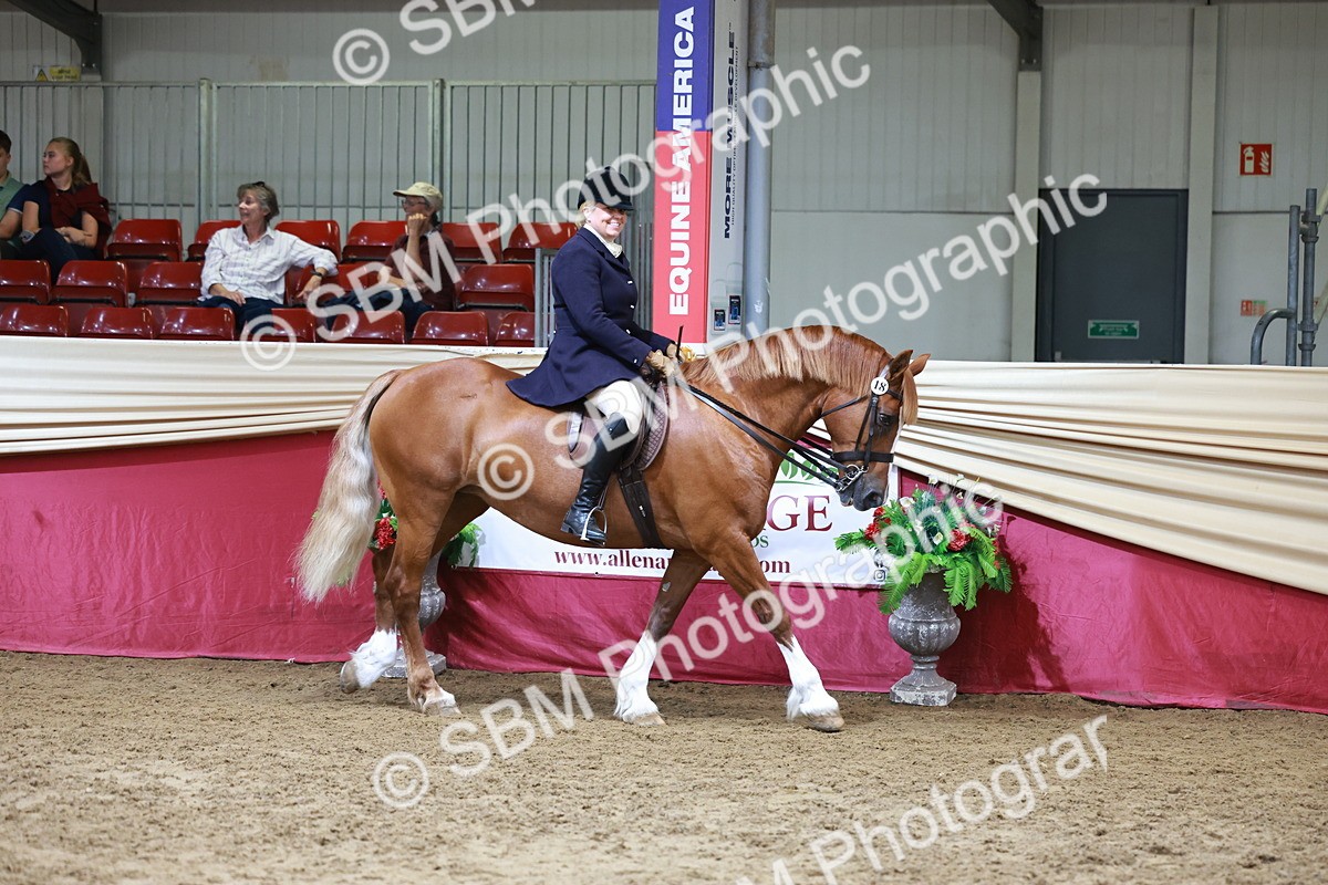 SBM_18526 - Class 952 - M&M Ridden Supreme Final