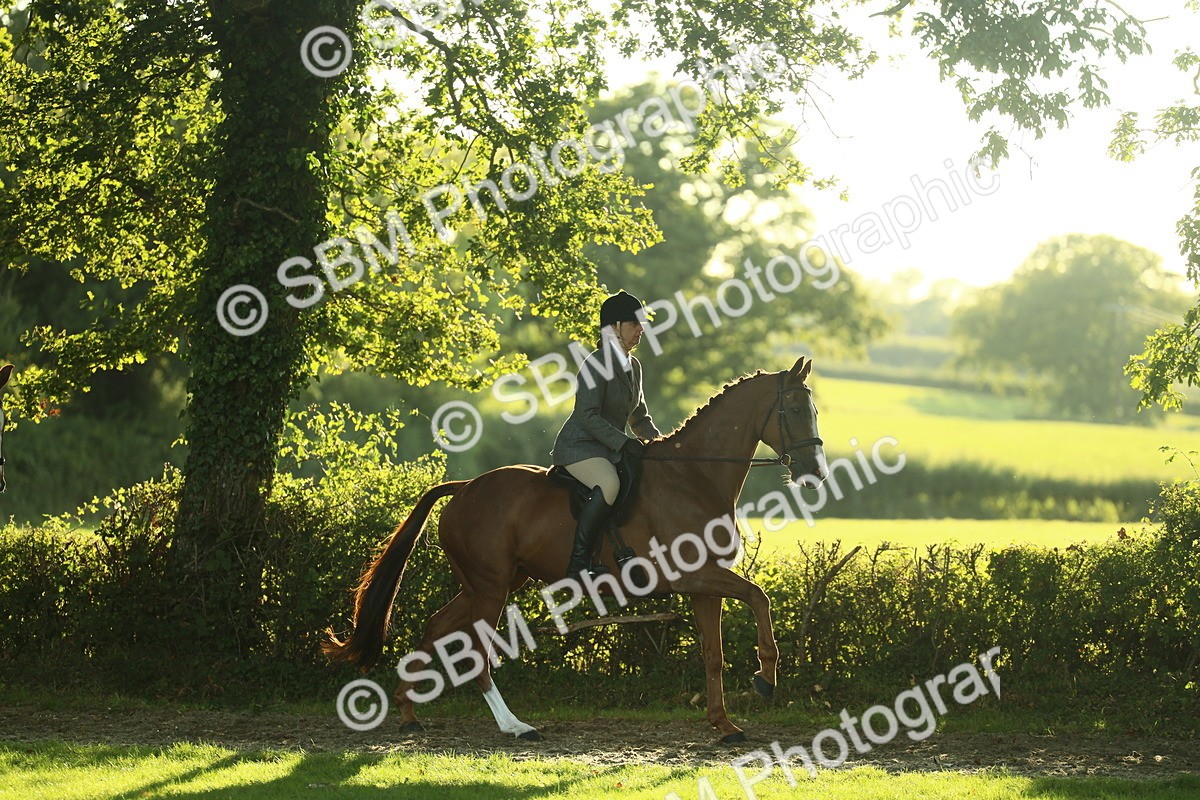 SBM_55513 - S14 - Riding Club Horse