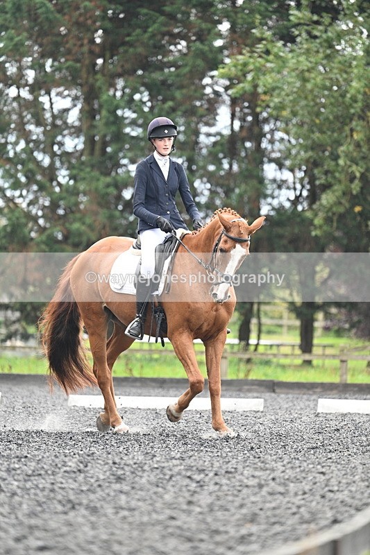 WJ7_6734 - Time 14:49 to 15:14