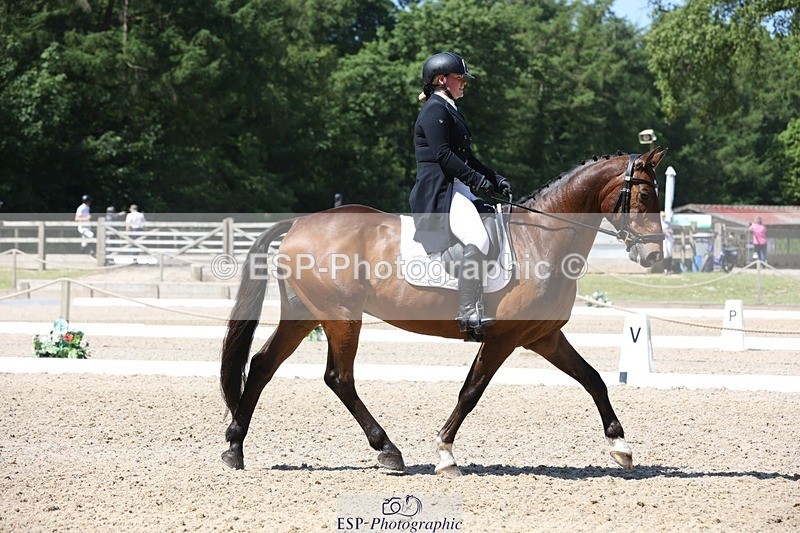 230526-113621-06084 - 154-GELUK_G-Molly_Adams-WEDTrotUp+DR