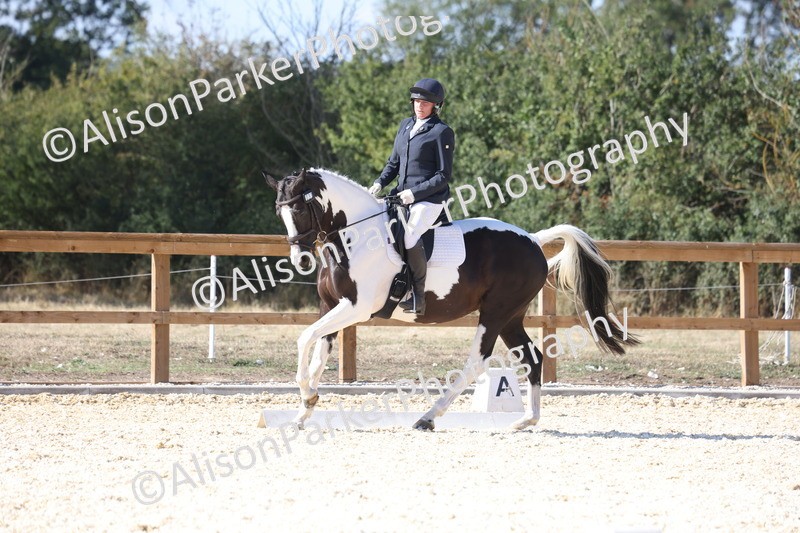 20260905-1579 - Class 5 - Novice 2