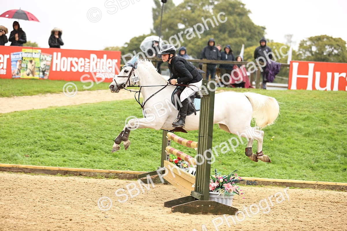 SBM_70041 - Supreme Championship 80cm 85cm