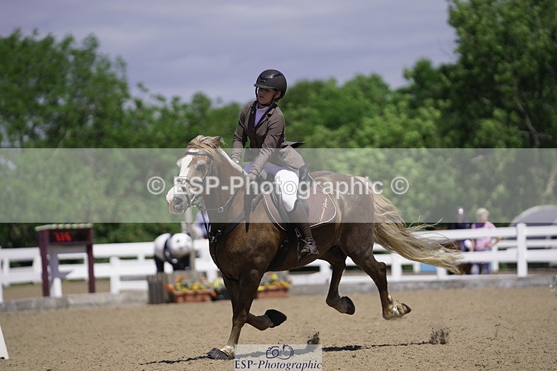 230624A-120404-01277 - Cls 22 British Novice 2nd Rs Jump Off and Pre