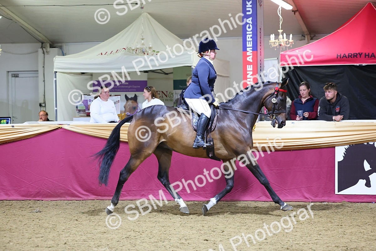 0B8A4290 - Class 108Ridden Retired Racehorse- Final Judging