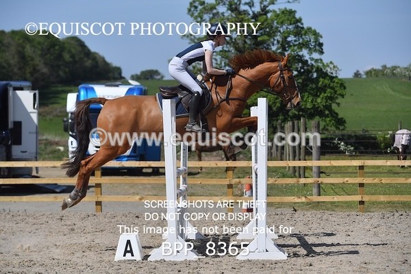 BPP_8365 - CLASS 6 Senior Newcomers/ 1.10m Open